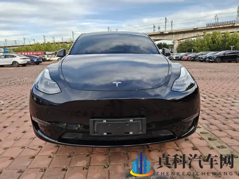 12岁的小孩骑马牙签搅大缸:童真童趣:12岁少年马牙签搅动巨缸奇景-3