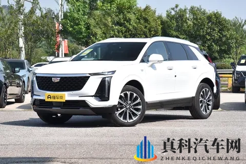 打扑克又痛又叫:汽车舒适驾乘揭秘,告别疲劳驾驶烦恼-1