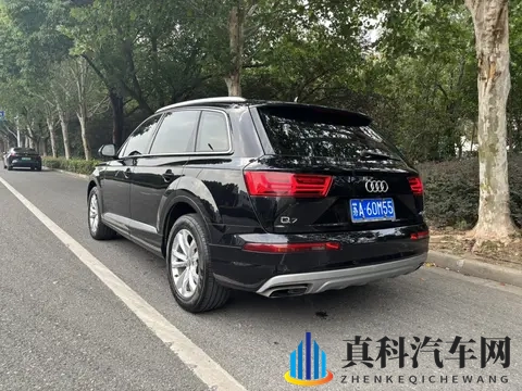 黑人aV：非洲裔成人影视作品-2