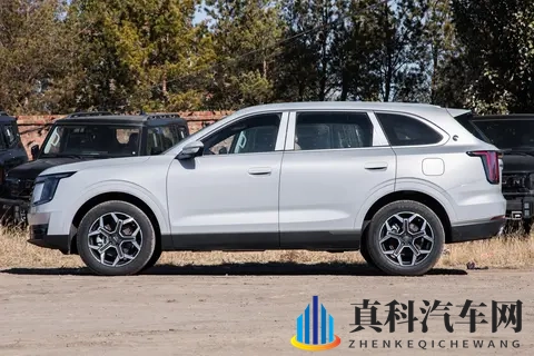 适合家用的7座SUV，空间大，配置高，关键价格还不贵！-1