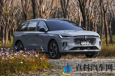 3q的真实讲述:汽车行业揭秘:资深分析师李强讲述挑战与机遇-2