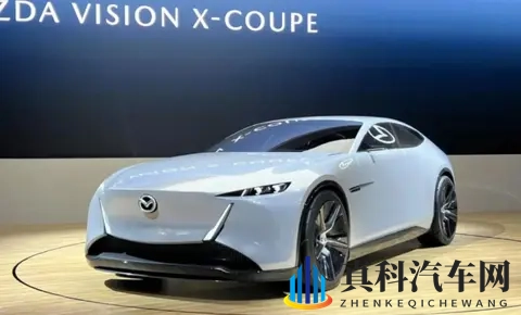 东京车展观察:熟悉又陌生的日系车与单刀赴会的国产力量-3