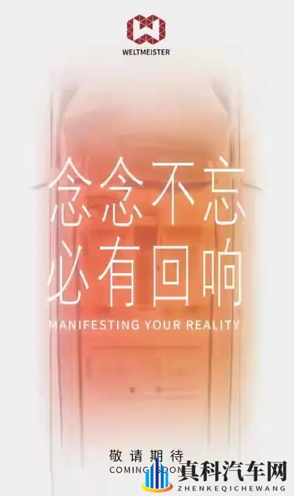 新势力冰火两重天:零跑狂飙理想暴跌-3