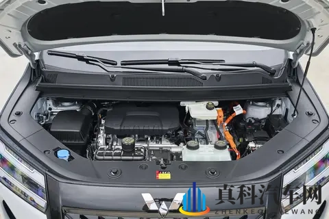 星光730 PHEV:10万级插混MPV,配电滑门+大7座,性价比超高!-1