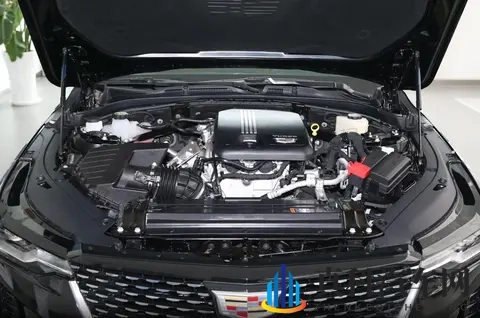 张婉莹事件始末：汽车维权惊天内幕：维权女神怒揭质量问题-2