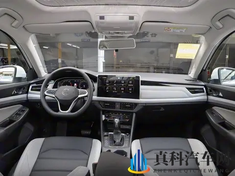 海盗2斯塔涅复仇2成：《海盗归来，斯塔涅誓言再战，复仇成功》-2