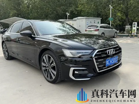 榴莲视频成人：视频新潮流：汽车文化互动引领潮流-3