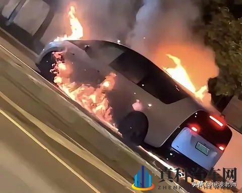 磷酸铁锂与三元锂孰优孰劣?用户选购新能源车应看清楚电池类型!-3