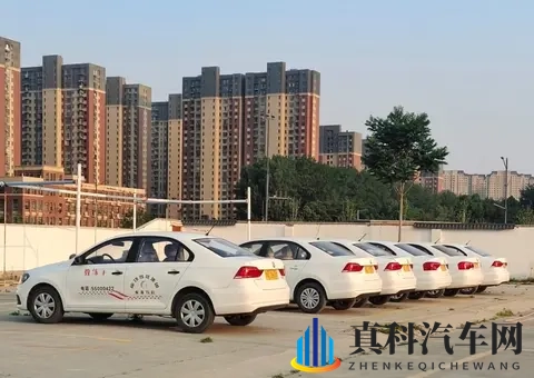 男男做爱网站：新一代皓影登场,实力全面进化-2