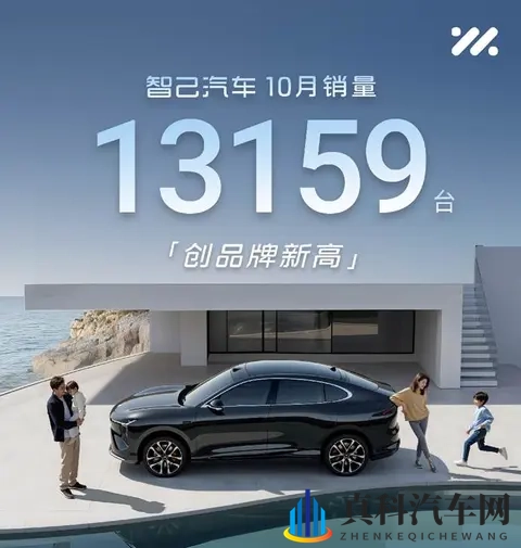 10月销量大盘点:零跑破7万,蔚来迈进4字头-3