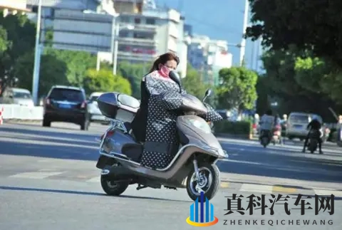 中国电动车的世界奇迹：廉价革命背后的双刃剑-3