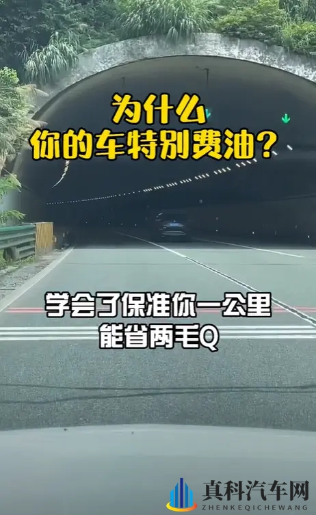 女高中打屁股 网站:新能源汽车兴起,汽车文化繁荣,后市场潜力巨大-2