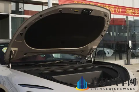 豪华中大型车备选清单必看:阿维塔12 2026款四激光版深度解析-3