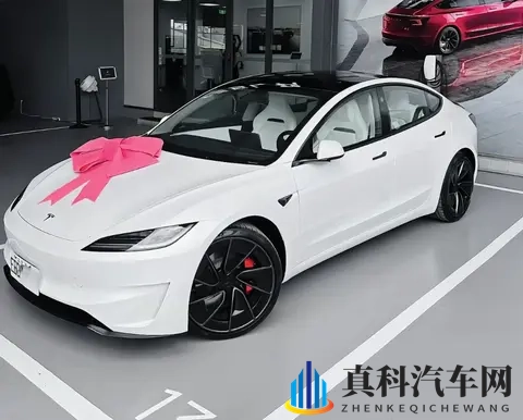 欧美小yoyo 交:欧美少女间神秘互动揭秘-2