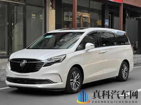 20万拿下宜商宜家神器，体验二手别克GL8陆尊！-3