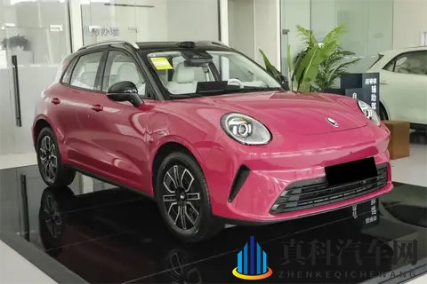 竞争比亚迪元UP！全新欧拉5实车到店，搭激光雷达_纯电续航580km-3