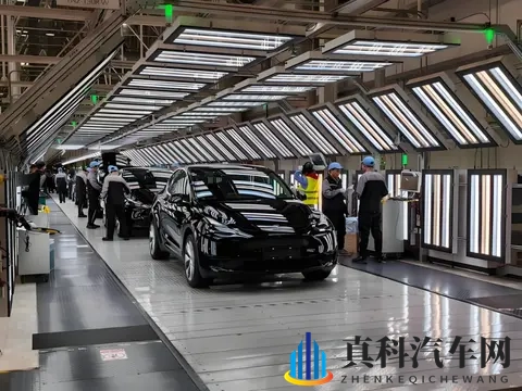 特斯拉成简配“鲶鱼”，中国品牌如何应对？-1