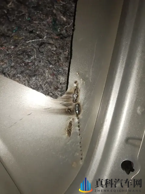 男生女生羞羞羞:汽车市场大揭秘:男女购车偏好大不同-3