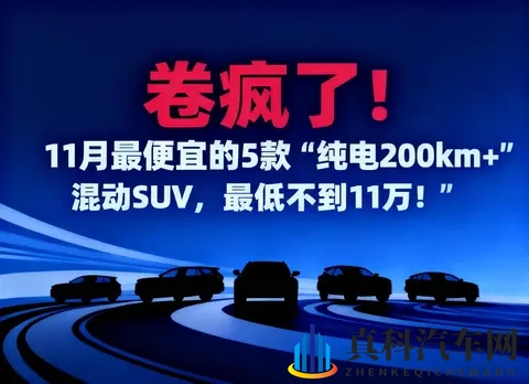 2025年11月混动SUV：一场“纯电200km+”引发的内卷，都没想到-1
