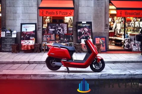 编译：2025 欧洲电动车市场、中国制造继续处于主导地位-3