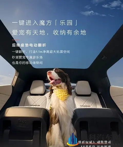 黄片软件3.0下载：汽车软件革新，驾驶生活更便捷-2