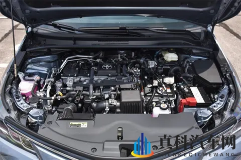 群+女+乱+交:女性聚集地,警惕乱交风险-2