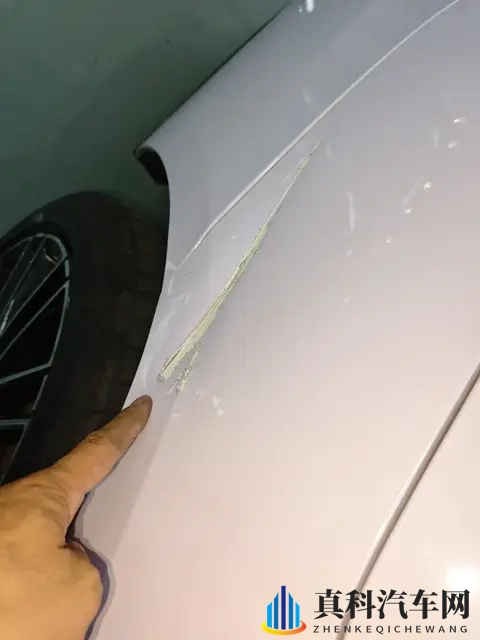 美女憋尿网站秘：揭秘美女憋尿背后的秘密网站-2