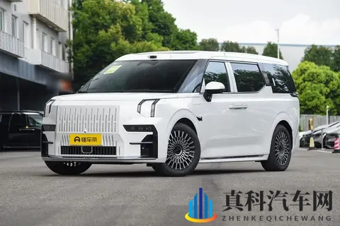 谁说豪华MPV只是门面?它更是咱家三代人出行的稳稳幸福-1