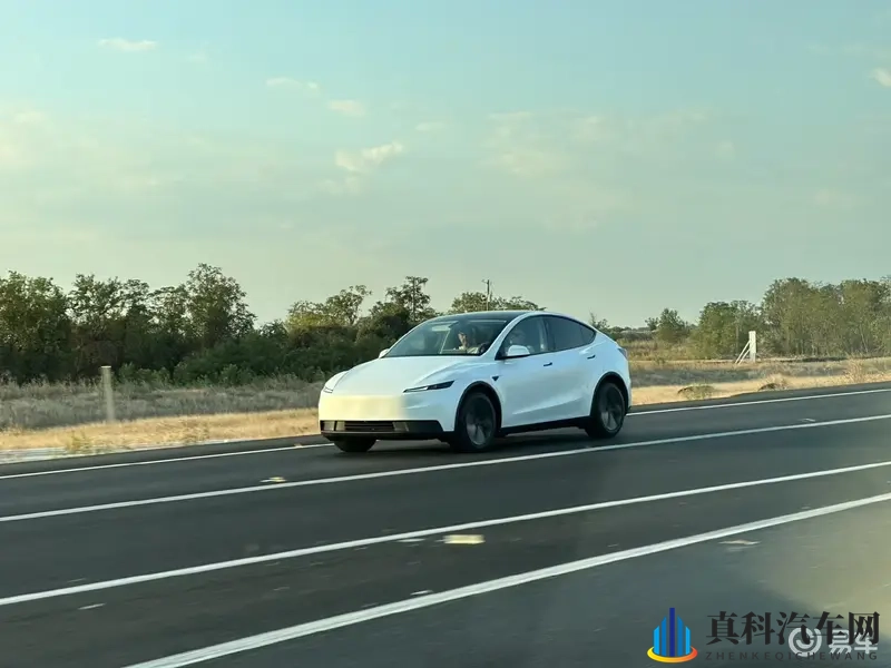 曝“廉价版”Model Y和3明年国产，价格不到20万-1