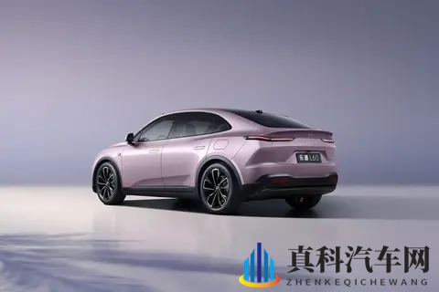 试驾乐道L60:空间、能耗、补能、保值,20-30万级纯电SUV黑马!-1