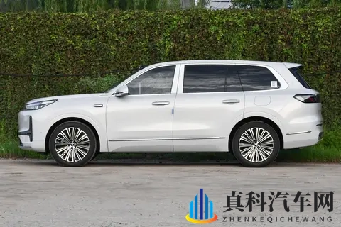 二孩家庭选六座 SUV：深蓝S09 和银河M9 ，为啥选前者呢？-1