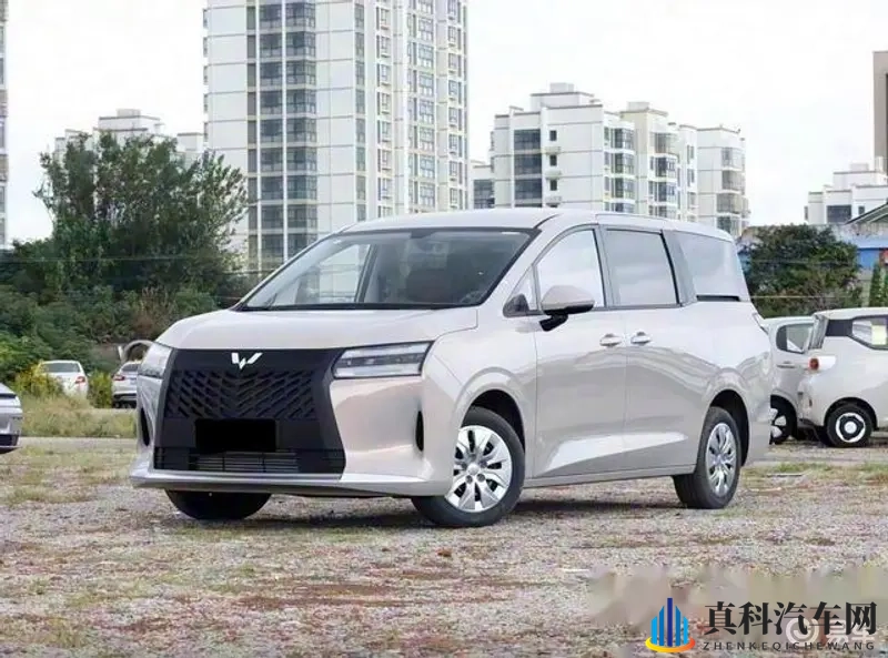 8 8 海外华人免费入口:新能源汽车大突破,未来出行将大不同-1