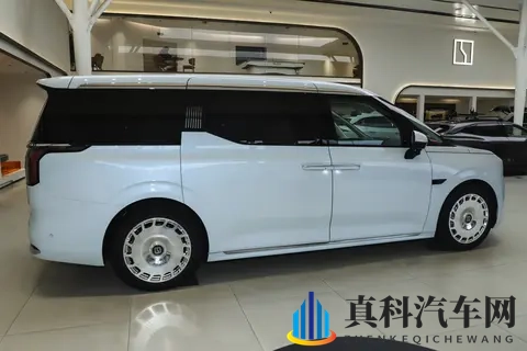 宜商宜家的极氪009，为什么成为越来越多家庭的出行伙伴？-2