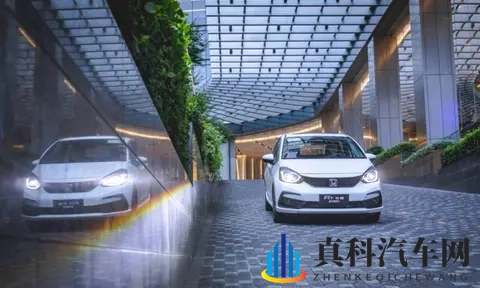 A0级市场冰火两重天，飞度是“时代眼泪”？没这么简单！-3