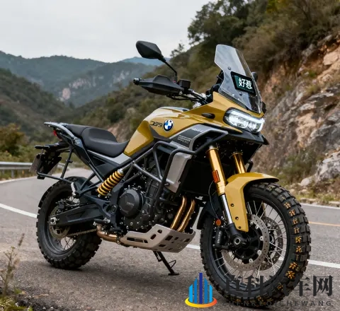 摩托成精了 无极DS900X杀疯 进隧道自开灯 5万2带宝马芯全套摩旅装备-1