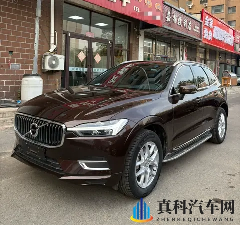 男生和女生差差软件：汽车定制新潮流：趣味互动揭示个性化需求-2