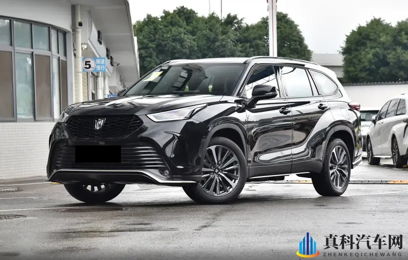 这车购车手册来了，同等价位下，纯燃油、油电混动选哪个？-1