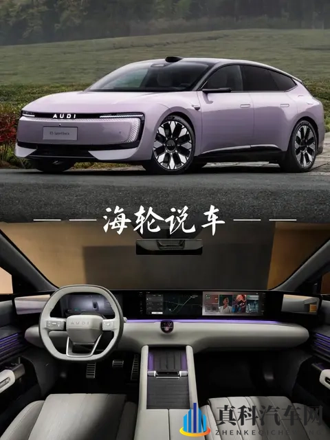 11万~33万，这8款新能源猎装车，闭眼入不后悔-3