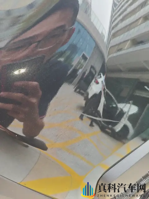 结合油电混合更香!20款丰田RAV4荣放,一手车况!-1