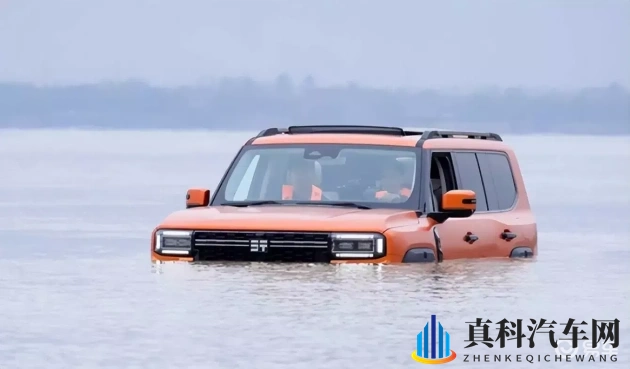 国产小精品：汽车新潮流：独特设计，亲民价格，智能升级-1