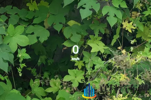 腾势 N8L DM 2025 款旗舰型:家庭豪华出行的全能之选-1