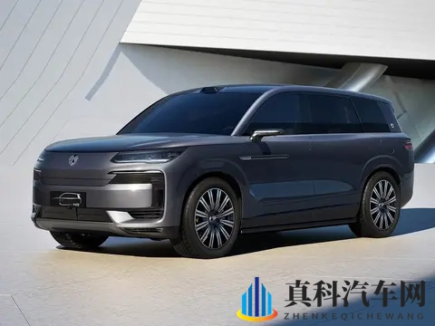 老外都不想玩,国内却要“强推”新能源车?因为“72%”太吓人了-2