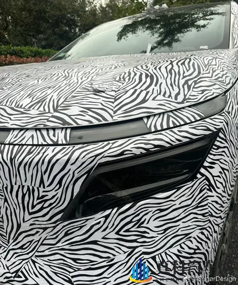 日产全新纯电 SUV 车型 N8 谍照曝光，爆料称“性价比超高”-2