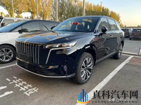 国产AV。：东方力量重塑汽车产业格局-2