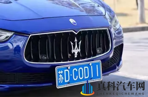 全汉字车牌上路被人举报？交警来到笑了：我真管不了-2