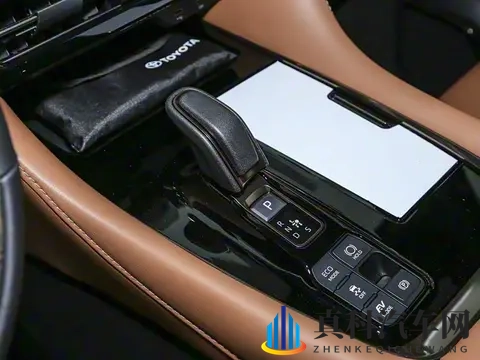 2025进博会聚焦：丰田埃尔法福祉版车型亮相-1