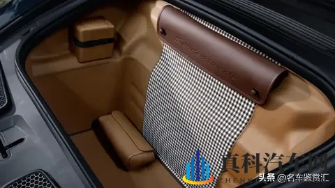 保时捷推出全新Sonderwunsch定制版911 GT3 “豹猫”-3