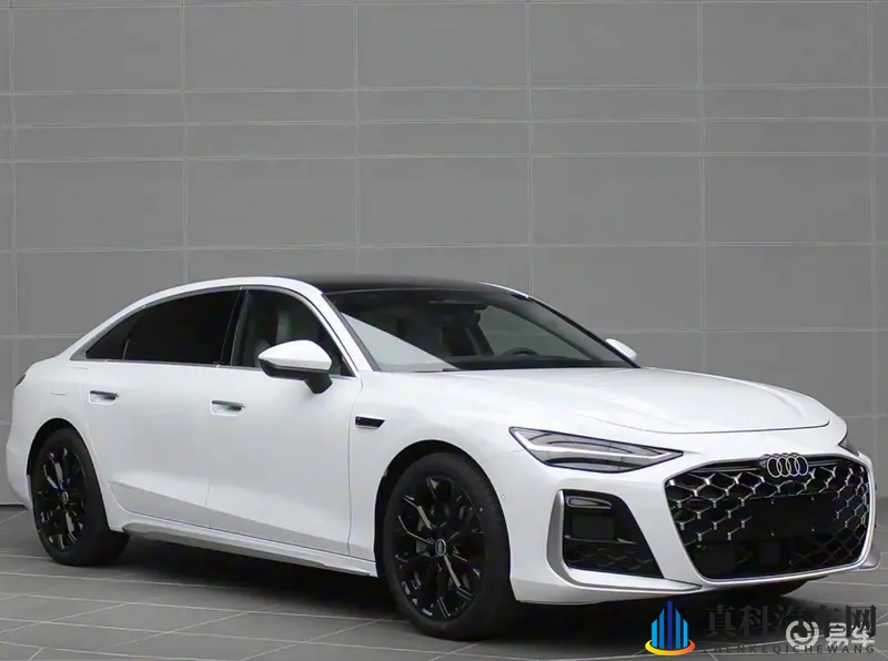 尺寸加长、动力升级,全新奥迪A6L要给5系、E级上强度?-1