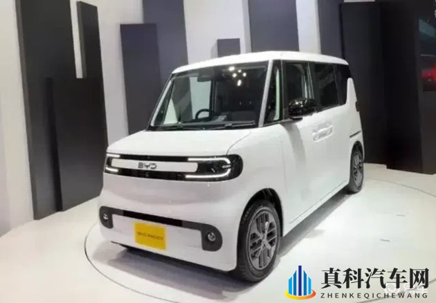 10岁小孩骑大马牙签搅大缸:儿童安全驾驶:小镇奇观下的隐患与对策-1