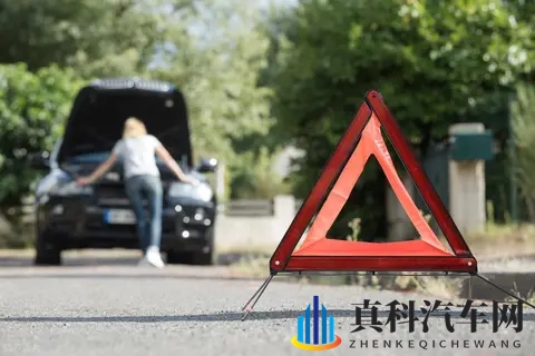 被告上法庭加调查!特斯拉突发大消息,股价开盘下跌442%-3